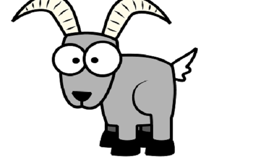 MALE goat-focus
