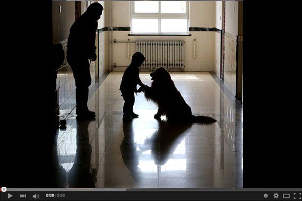 Ο συγκλονιστικός σκύλος, όταν ένα αυτιστικό παιδί παθαίνει κρίση και χτυπάει τον εαυτό του