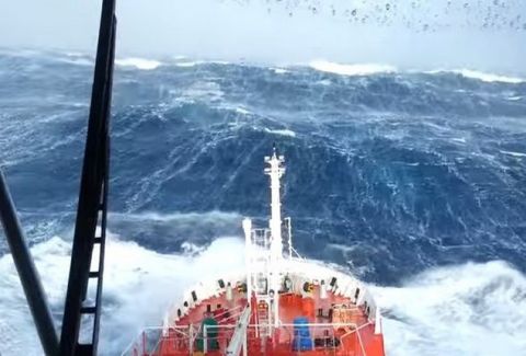 SEA-focus