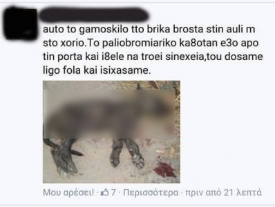 skylaki_398_300
