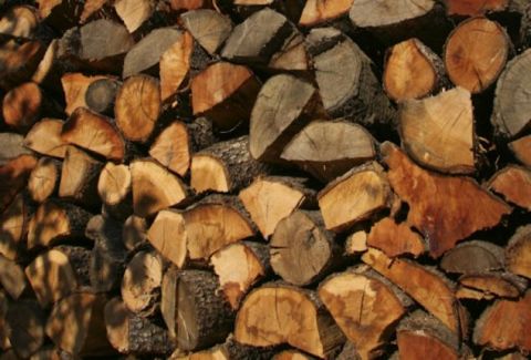 Wood-focus