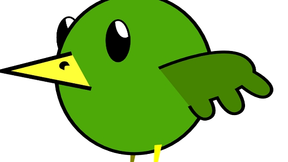 green bird-focus