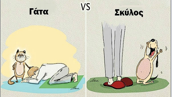 GATA_VS_SKILOS_FOCUS