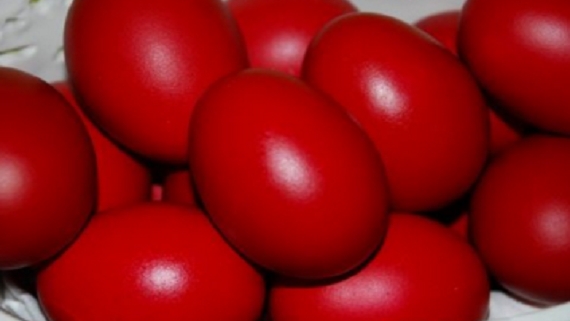 Eggs-focus