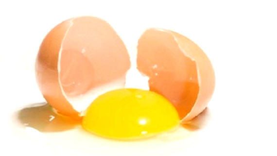 eggs-focus