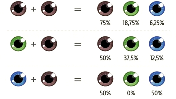eyes-focus