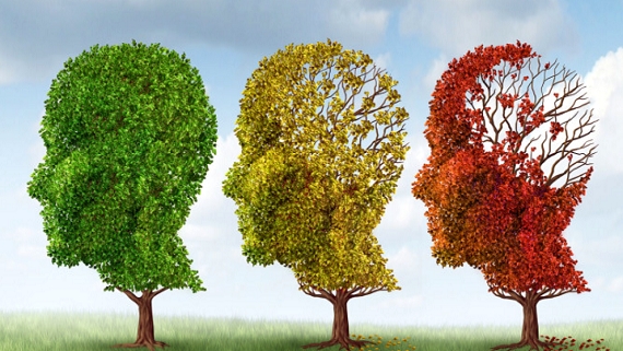 Alzheimer-focus