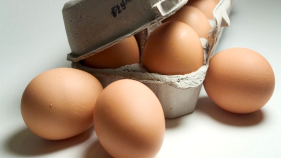 eggs-focus