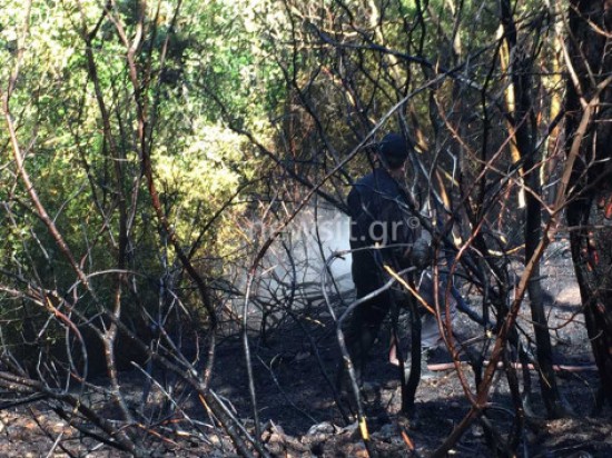 Μεγάλη φωτιά στο Κρυονέρι – Ισχυρή δύναμη της πυροσβεστικής για να μην εξαπλωθεί