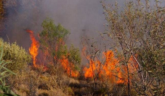 ΕΚΤΑΚΤΟ : Πυρκαγιά σε δασική έκταση στο Μενίδι