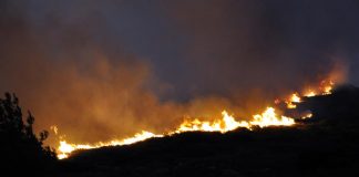 Τρόμος στην Κεφαλονιά!