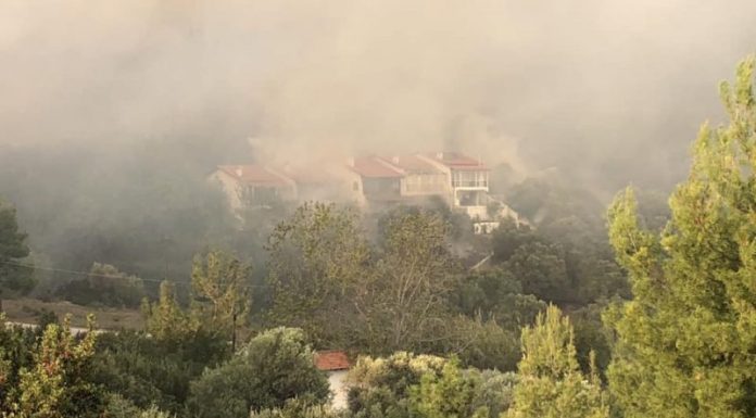 Πύρινη κόλαση στην Χαλκιδική- Κινδύνεψαν κάτοικοι