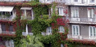 ΕΝΦΙΑ: Μείωση ως και 50% στο χαράτσι – Ποιοι και πόσα χρήματα κερδίζουν