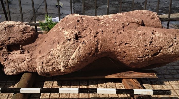 Αρχαιολογικός θησαυρός στη Φθιώτιδα, ανακαλύφθηκε τυχαία από αγρότη