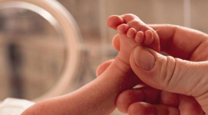 Λαμία: Σοκάρουν οι αποκαλύψεις για την κακοποίηση βρέφους δύο μηνών από τον πατέρα του – Καταπέλτης η παιδίατρος!
