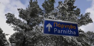 Ντύθηκε ξανά στα λευκά η Πάρνηθα! (Βίντεο)