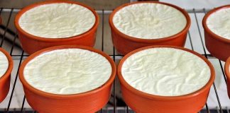 Τέλος η χρήση του όρου “ελληνικό γιαούρτι” από την Τσεχία – Η νίκη της Ελλάδας και τα επόμενα βήματα