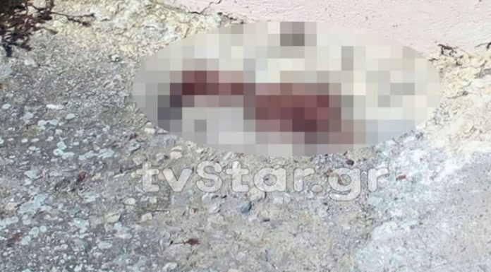 Βοιωτία: Ποιος είναι ο 54χρονος που φέρεται να τραυμάτισε την 8χρονη Αλεξία