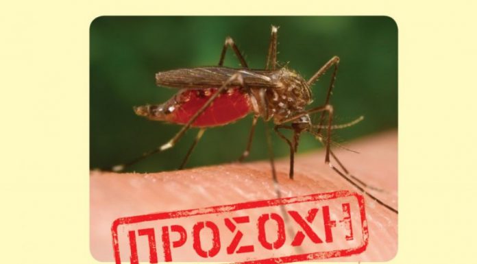 Μεγάλη ανησυχία για την εμφάνιση κρουσμάτων του ιού του δυτικού Νείλου στη χώρα μας