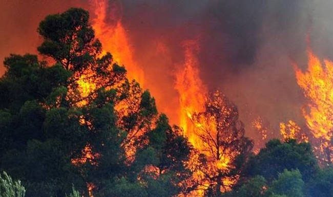 Μεγάλη φωτιά τώρα στο Πικέρμι – Απομακρύνονται οι κάτοικοι