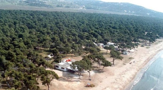 Απαγόρευση κυκλοφορίας την Τρίτη σε πευκοδάσος Σχινιά,Υμηττό, Ε.Δ.Σουνίου