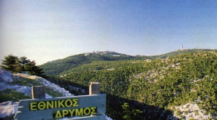 Δήλωση “βόμβα” σεισμολόγου για το ρήγμα της Πάρνηθας