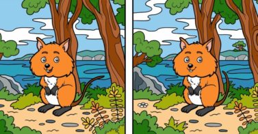 Can-You-Spot-the-10-Differences-in-This-Picture-_585659516-Ksenya-Savva-1024×491