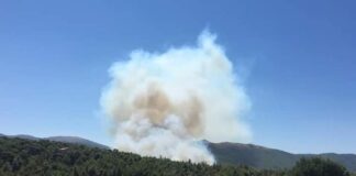 Φωτιά στα Βίλια Αττικής – Εκκένωση προς Ψάθα