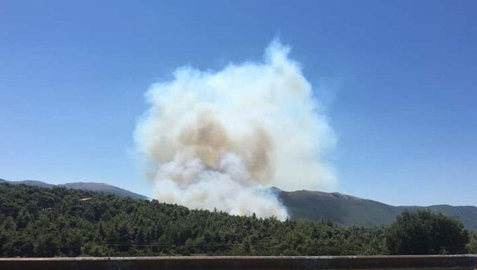 Φωτιά στα Βίλια Αττικής – Εκκένωση προς Ψάθα