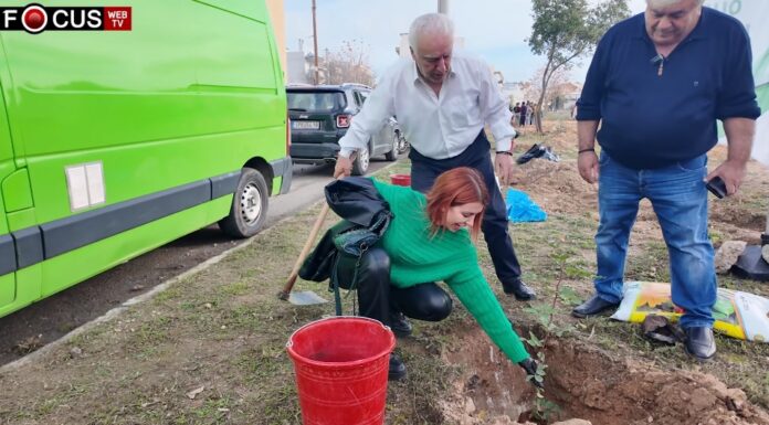 Δενδροφύτευση του δήμου Αχαρνών στην περιοχή της Αυλίζας με την συμμετοχή μαθητών Δεντροφύτευση Δήμος Αχαρνών