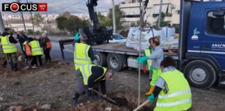 Δενδροφύτευση από την διεύθυνση πρασίνου του δήμου Αχαρνών επί της λεωφόρου Λιοσίων Δενδροφύτευση Αχαρνές