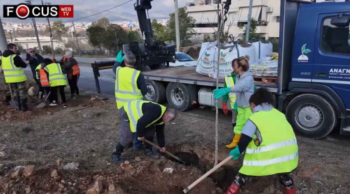 Δενδροφύτευση από την διεύθυνση πρασίνου του δήμου Αχαρνών επί της λεωφόρου Λιοσίων Δενδροφύτευση Αχαρνές