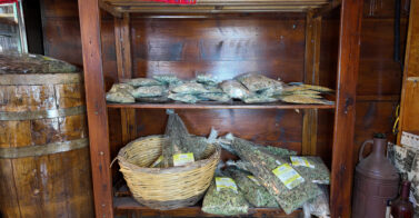 Αποξηραμένα βότανα