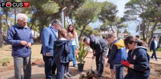 Μια πολύ όμορφη περιβαλλοντική δράση από την διεύθυνση πράσινου του δήμου Αχαρνών με την συμμετοχή μαθητών στην Βαρυμπόμπη Νέα Δέντρα στην Πλατεία Βαρυμπόμπης focus Δήμος Αχαρνών