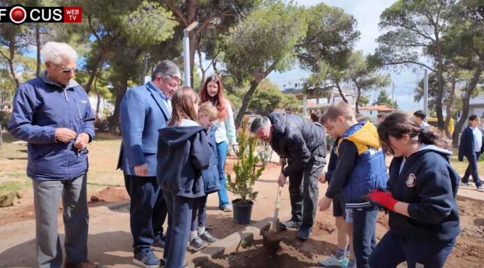 Μια πολύ όμορφη περιβαλλοντική δράση από την διεύθυνση πράσινου του δήμου Αχαρνών με την συμμετοχή μαθητών στην Βαρυμπόμπη Νέα Δέντρα στην Πλατεία Βαρυμπόμπης focus Δήμος Αχαρνών